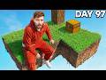 I Survived 100 Days In Skyblock