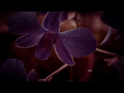 Lonya, Los Cabra, Marvin Jam - All Things Come To An End (Extended Mix)