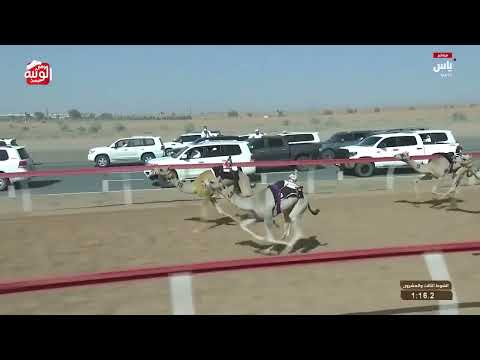  ش 23 (مفرج) لـ مطر غدير حمد الدرعي 2:14:4 , تسعيرة بن حماد الشامسي 2026/04/18 فطامين 