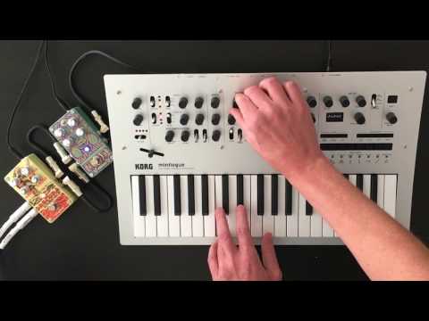 Korg Minilogue with Digitech Obscura and Polara pedals. Blade Runner pads.