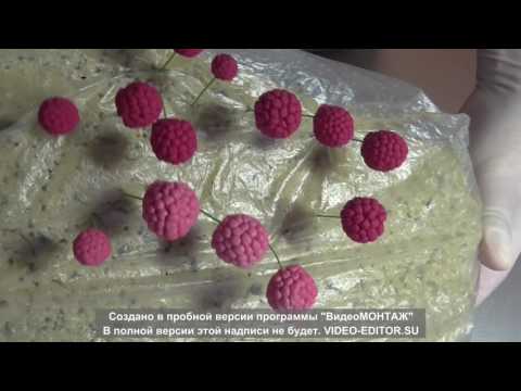 Как лепить ягоды с помощью силиконовых молдов 2