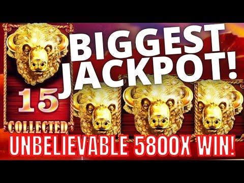 OVER $50k - MASSIVE JACKPOT! Wonder 4 Boost Gold Buffalo Slot - HANDPAY!