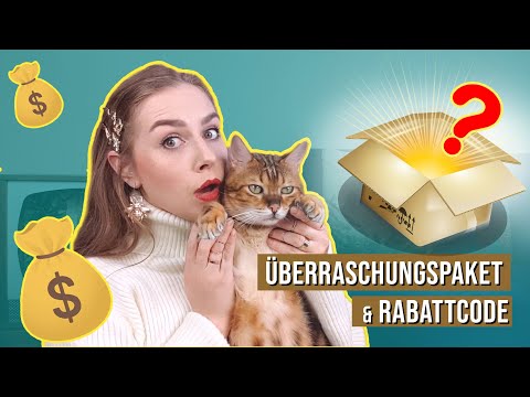 Zooplus Unboxing / Amely Rose & Catwalk testen Katzen Produkte und Kratzbaum + Rabattcode