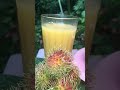 Breakfast Show RAMBUTAN BREAD BIG ONION COOL JUICE Viral Trending Shorts