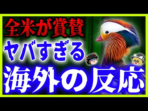 エクス・ガレリクラタ、雄