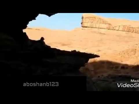مقناص ورمي وعل مع شيله مقناص الضلع