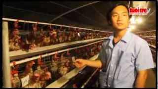 preview picture of video 'Nhà phân phối trứng gà Omega 3 Minh Ân Bình Dương'