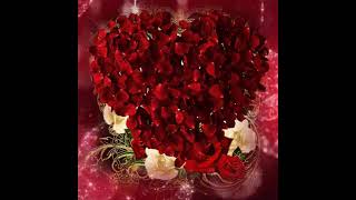 Download lagu Wa Alaikum Assalam Video GIF| Subah Bakhair mp3 Download lagu Wa Alaikum Assalam Video GIF| Subah Bakhair mp3