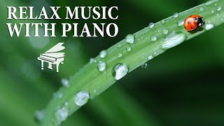 Beautiful Music Piano | Relaxing, Sleep, Music, Soothing Relaxation.
