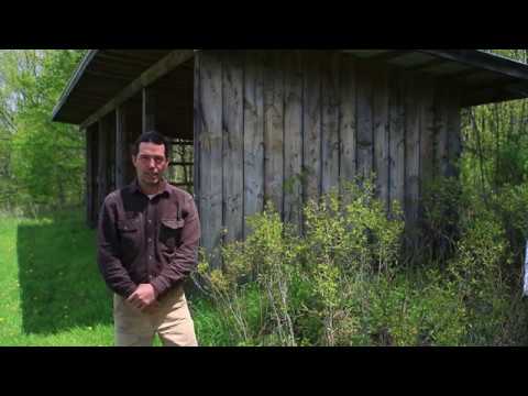 Buildings That Catch, Hold And Store Rainwater High