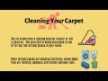 How Clean Is Your Carpet?