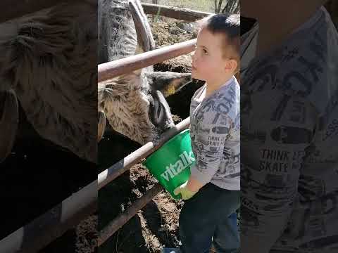 Nase blago @dolina4332