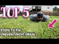 5 Steps To Fix Mowers Uneven Cut Leaving A Strip Of Grass DIY How To