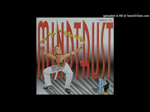 Mindtrust - The Key To Your Heart (Bass D & King Matthew Remix)