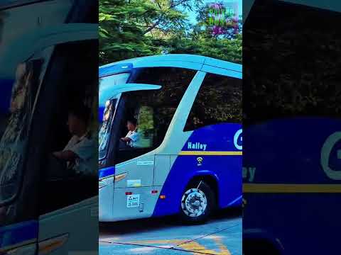 AEROPORTO DE GUARULHOS x POÇOS DE CALDAS: A COMETA LIGANDO O AEROPORTO AO SUL DE MINAS! 🚍🛣️