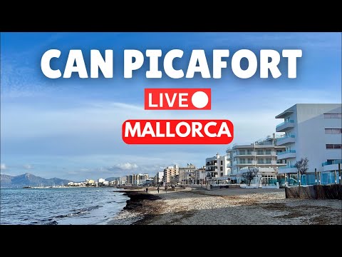 🔴 LIVE in Can Picafort, Mallorca  | 1 February 2026 (Spain)