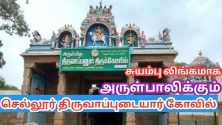 Temple video