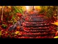 Vivaldi: The Four Seasons - Autumn mvt 3 Allegro