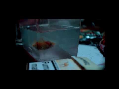 Mind in Gray // MS // 03. Psicosis (NMejias Prod.)