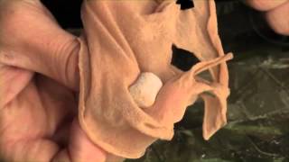 Protect your hook baits with James Armstrong