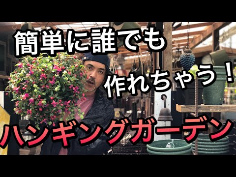 美しいフクシアを手に入れるにはどうすればよいですか？ 4つの秘密が明らかに  庭園