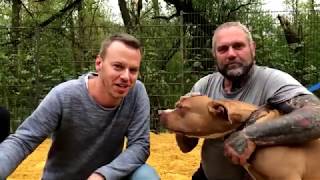 Tierheim Saarbrücken Ralf Seeger u. Christian Ehrlich von den Harten Hunden stellen 2 Listis vor