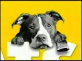 Watch Entertainment Scripps Networks Harpo Productions KingWorld 2007