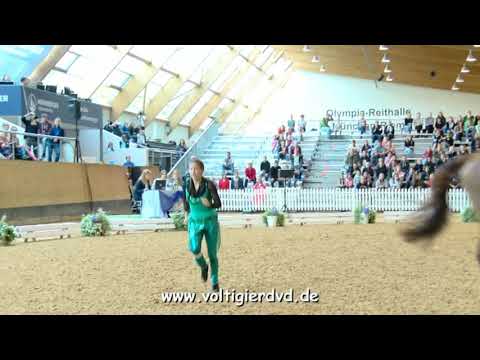 Lara Höfers - Female 41 - DJM Voltigieren München 2018