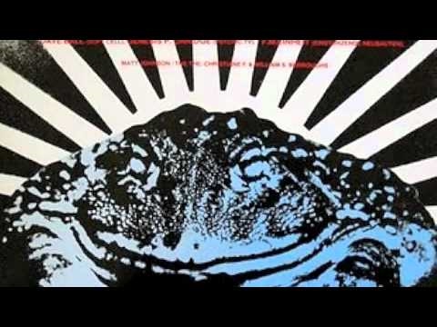 Dave Ball & Genesis P Orridge - Muzak For Frogs