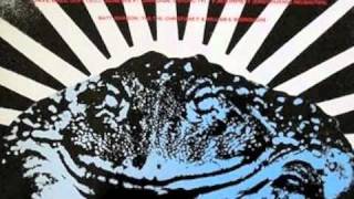Dave Ball & Genesis P Orridge - Muzak For Frogs