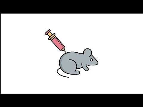 Faceless Video