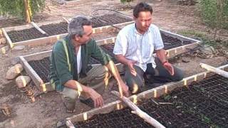 How to keep Cats out of your Raised Bed and Growing Food in the Desert