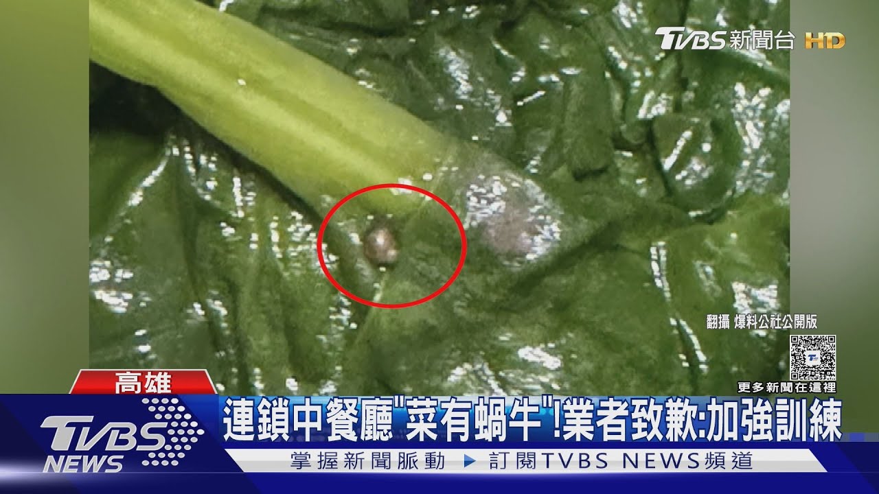 鼎泰豐高雄店「菠菜有蝸牛」! 民眾嚇壞 業者致歉:加強訓練