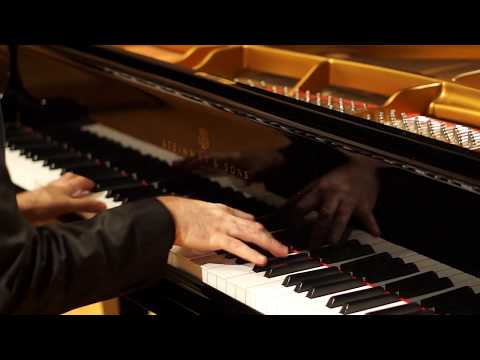 Tchaikovsky-Pletnev. "Andante-maestoso" from the ballet "Nutcracker". Karen Kornienko, piano