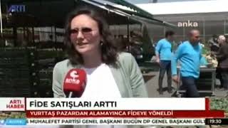 ARTI TV  | SEBZE FİDELERİNE YOĞUN İLGİ 🌱 || İSTANBUL AĞAÇ VE PEYZAJ A.