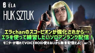 【R6S】こそ練ソロアンランク！エラ即ピキッズ【無言配信】