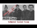 MEKONS- Where Were You (John Peel Sessions ...