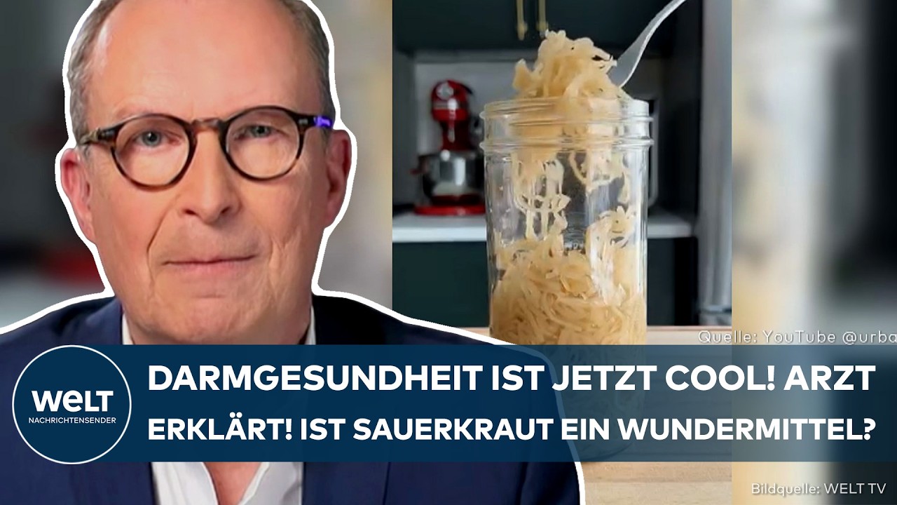 HYPE UM DARMGESUNDHEIT: Arzt verrät! So viel Sauerkraut und Kimchi sollte man wirklich essen
