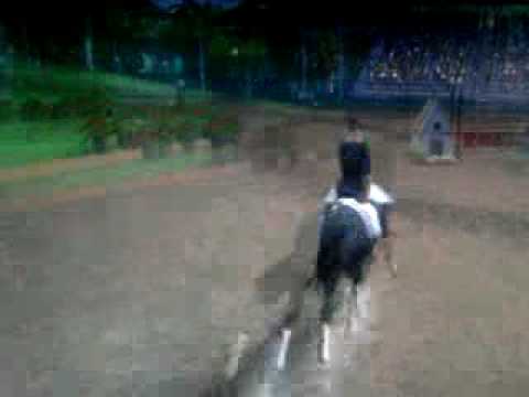 Le Challenge Equestre de Lucinda Green PC