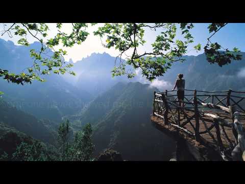 Tourist - I Can't Keep Up ft. Will Heard (Lyrics)