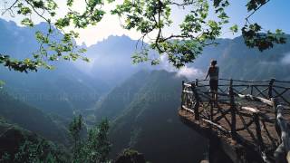 Tourist - I Can&#39;t Keep Up ft. Will Heard (Lyrics)