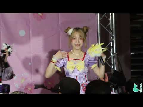 lFANCAMl VASA Castella「カステラ」- ทาสแมว (Cat slave)