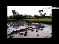 Semangat Gass Lur OrakerjoOrakoyo