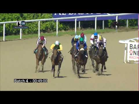 Irish EBF Barrier Trials 05 September 2023 - Batch 04