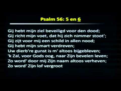 Psalm 56 vers 5 en 6 | Samenzang | Hein de Graaf