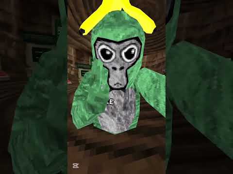 #gtag #gorillatag #newchannel #fyp #subscribe