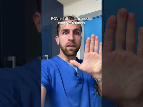 Quién Gana: Valmix o el Michi Karateka? 💀​​ Nuevo Vlog Aquí ⬆️🔥​​​​​​ Ig: VALMASEDA ❤️​