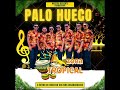 PALO HUECO: ZONA TROPICAL