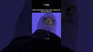 Quem Quer Vencer Precisa Proteger o Próprio Foco!