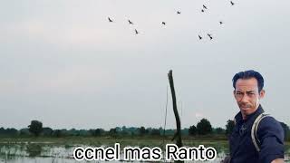 Download lagu suara pikat aliskuni MP3 teruji , sepot yg pas menurunkan belibis mp3